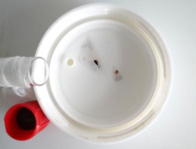 Probablemente la forma ideal de remitir biopsias diminutas (adheridas a pequeños fragmentos de cartón con color que contraste)