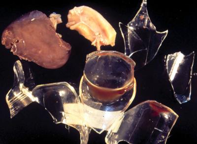 Envío de frascos de cristal de cuello estrecho con tejidos demasiado grandes