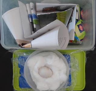 Envío correcto de un huevo de tucán, con protección suficiente