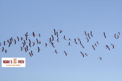 En Noah's Path pretendemos que vuestras muestras lleguen en las mejores condiciones