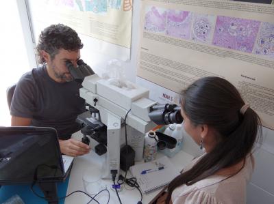 Celic Berenice Montoya está concluyendo este estudio