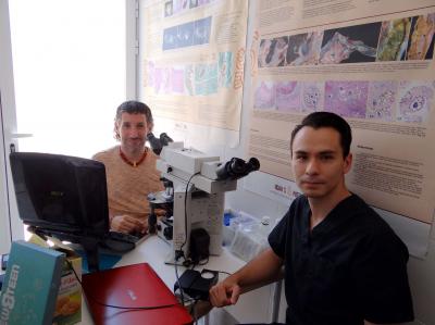 Annuar Majluf Trejo está iniciando este estudio