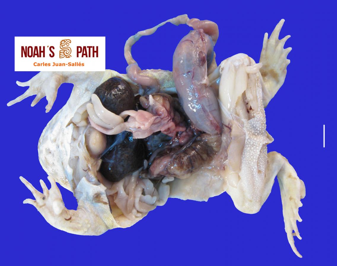 Galerías de imágenes