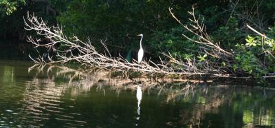Nombre de la primera foto